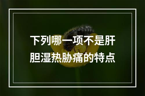 下列哪一项不是肝胆湿热胁痛的特点