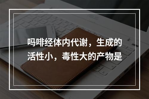 吗啡经体内代谢，生成的活性小，毒性大的产物是