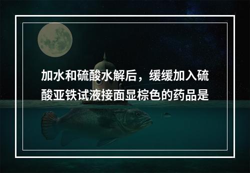 加水和硫酸水解后，缓缓加入硫酸亚铁试液接面显棕色的药品是