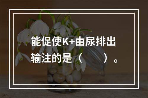 能促使K+由尿排出输注的是（　　）。