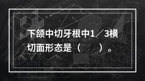 下颌中切牙根中1／3横切面形态是（　　）。