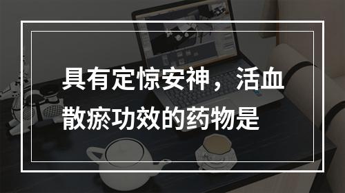 具有定惊安神，活血散瘀功效的药物是