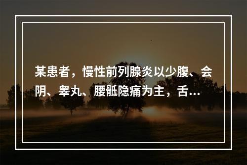 某患者，慢性前列腺炎以少腹、会阴、睾丸、腰骶隐痛为主，舌黯或