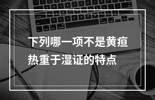 下列哪一项不是黄疸热重于湿证的特点