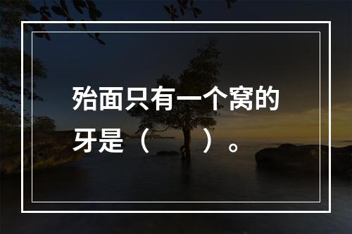 殆面只有一个窝的牙是（　　）。