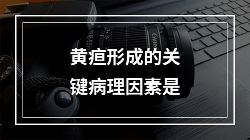 黄疸形成的关键病理因素是