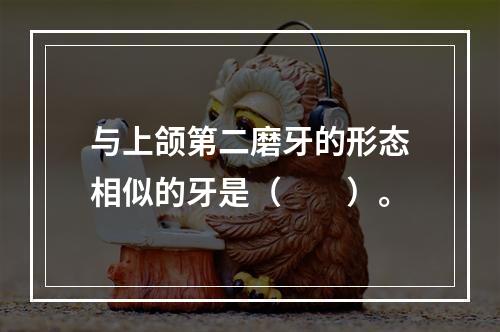 与上颌第二磨牙的形态相似的牙是（　　）。