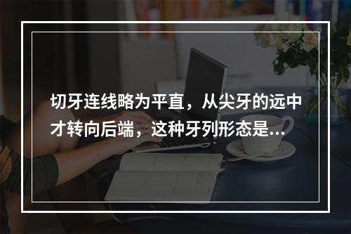 切牙连线略为平直，从尖牙的远中才转向后端，这种牙列形态是（　