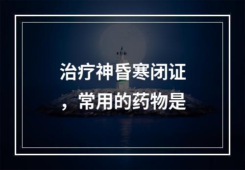 治疗神昏寒闭证，常用的药物是