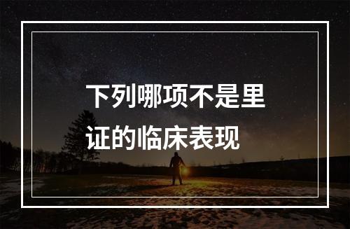 下列哪项不是里证的临床表现