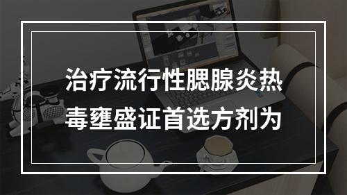 治疗流行性腮腺炎热毒壅盛证首选方剂为