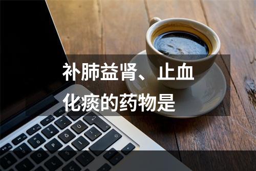 补肺益肾、止血化痰的药物是