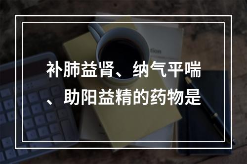 补肺益肾、纳气平喘、助阳益精的药物是