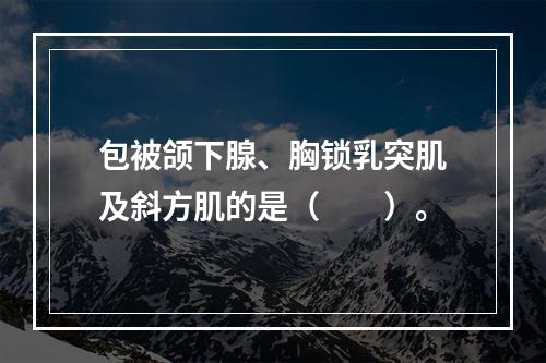 包被颌下腺、胸锁乳突肌及斜方肌的是（　　）。