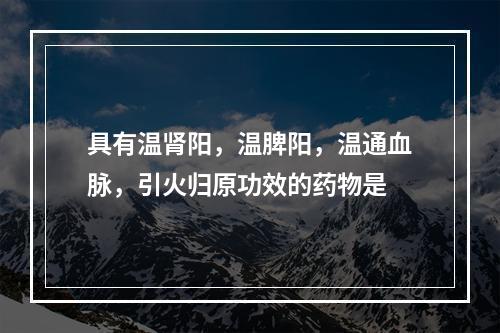 具有温肾阳，温脾阳，温通血脉，引火归原功效的药物是