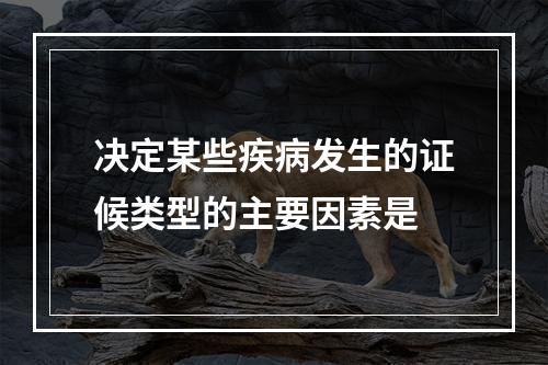 决定某些疾病发生的证候类型的主要因素是