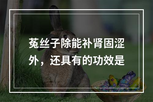 菟丝子除能补肾固涩外，还具有的功效是