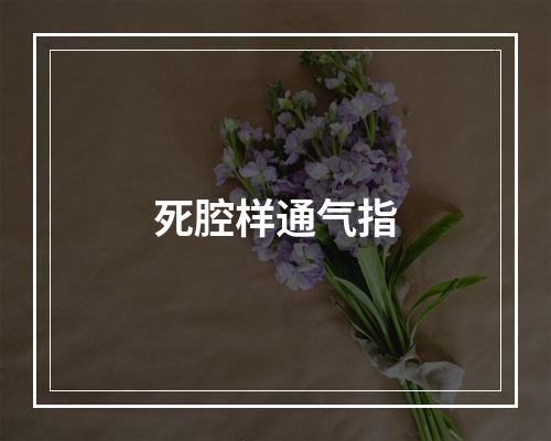 死腔样通气指