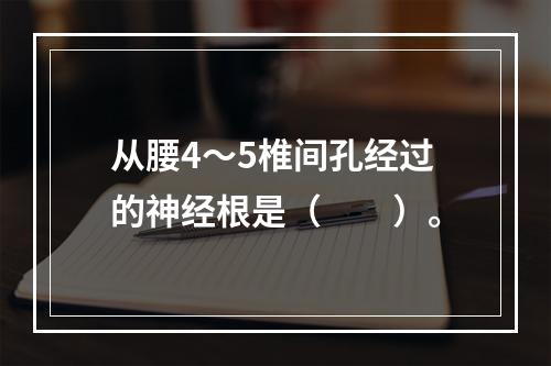 从腰4～5椎间孔经过的神经根是（　　）。