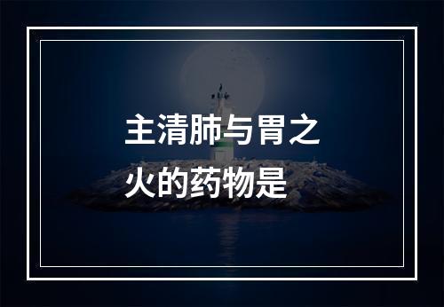 主清肺与胃之火的药物是