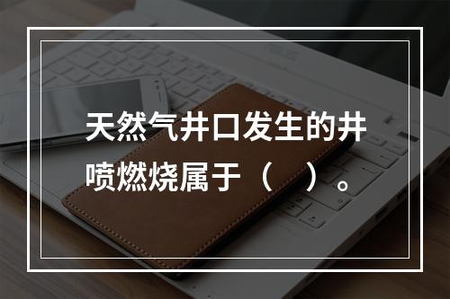 天然气井口发生的井喷燃烧属于（　）。