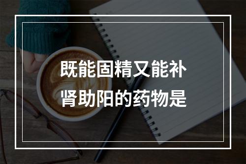 既能固精又能补肾助阳的药物是