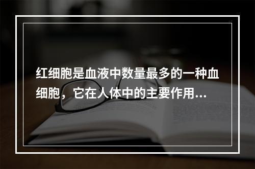 红细胞是血液中数量最多的一种血细胞，它在人体中的主要作用是