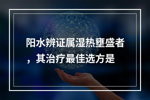 阳水辨证属湿热壅盛者，其治疗最佳选方是