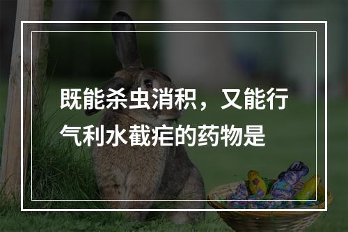 既能杀虫消积，又能行气利水截疟的药物是