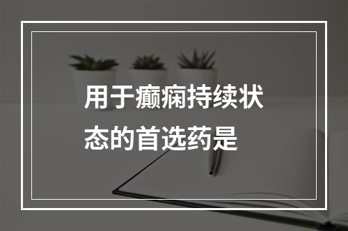 用于癫痫持续状态的首选药是