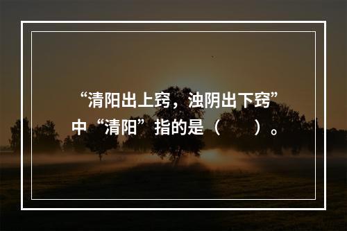 “清阳出上窍，浊阴出下窍”中“清阳”指的是（　　）。