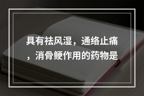 具有祛风湿，通络止痛，消骨鲠作用的药物是