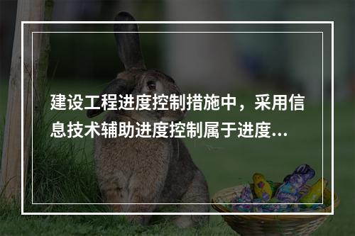 建设工程进度控制措施中，采用信息技术辅助进度控制属于进度控制