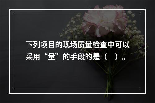 下列项目的现场质量检查中可以采用“量”的手段的是（　）。