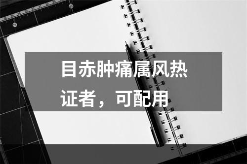 目赤肿痛属风热证者，可配用