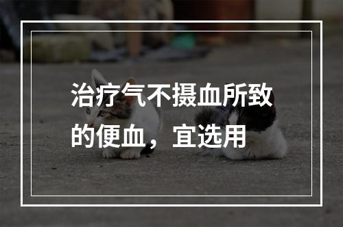 治疗气不摄血所致的便血，宜选用