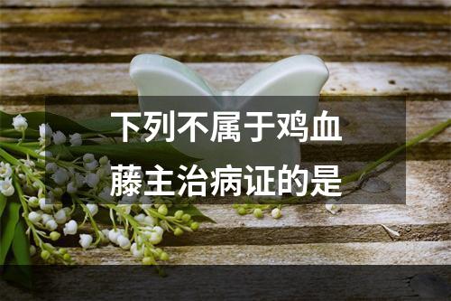 下列不属于鸡血藤主治病证的是