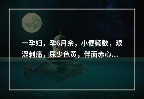 一孕妇，孕6月余，小便频数，艰涩刺痛，尿少色黄，伴面赤心烦，