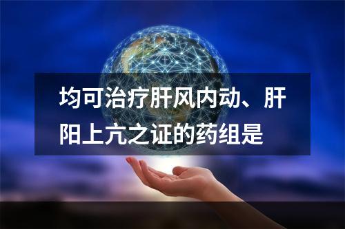 均可治疗肝风内动、肝阳上亢之证的药组是