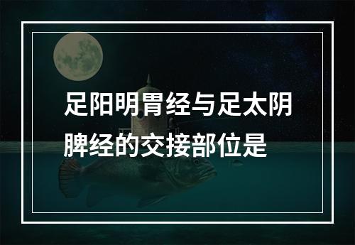 足阳明胃经与足太阴脾经的交接部位是