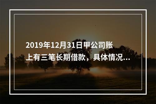 2019年12月31日甲公司账上有三笔长期借款，具体情况如下