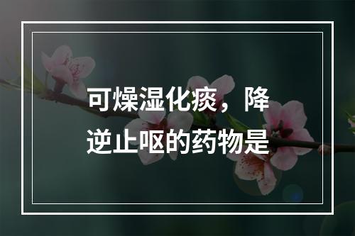 可燥湿化痰，降逆止呕的药物是