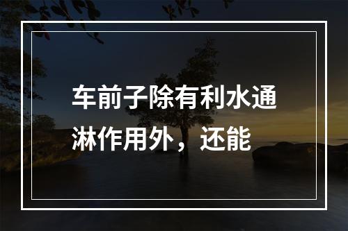 车前子除有利水通淋作用外，还能