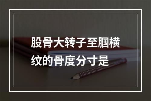 股骨大转子至腘横纹的骨度分寸是