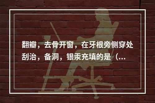 翻瓣，去骨开窗，在牙根旁侧穿处刮治，备洞，银汞充填的是（　　