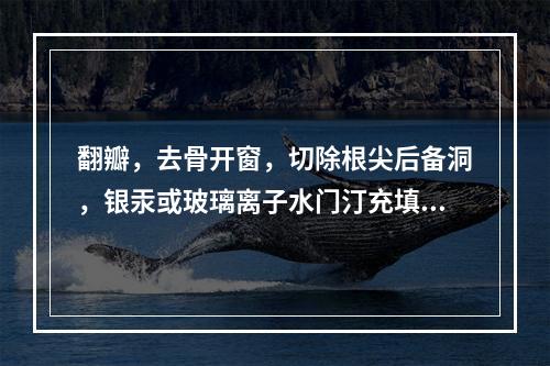 翻瓣，去骨开窗，切除根尖后备洞，银汞或玻璃离子水门汀充填的是