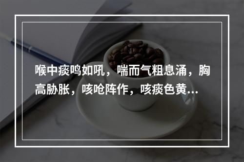 喉中痰鸣如吼，喘而气粗息涌，胸高胁胀，咳呛阵作，咳痰色黄或白