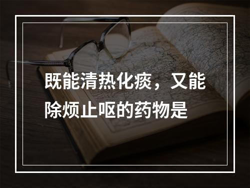 既能清热化痰，又能除烦止呕的药物是