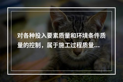 对各种投入要素质量和环境条件质量的控制，属于施工过程质量控制