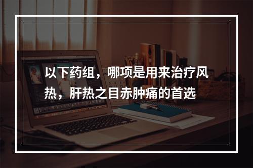 以下药组，哪项是用来治疗风热，肝热之目赤肿痛的首选